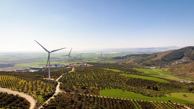 Wind turbines across a green landscape