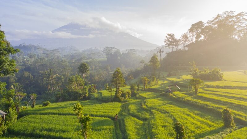 Bali landscape with mountain in background