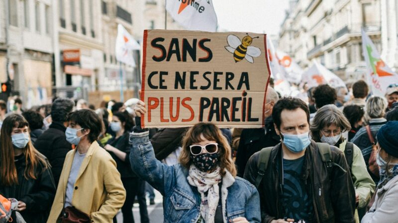 French climate protesters