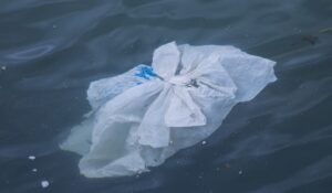 Plastic bag floating in the water