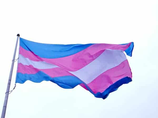 TransgenderFlag