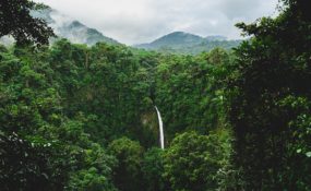 Costa Rican forest and waterfall