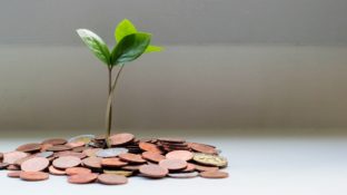 Plant growing out of coins