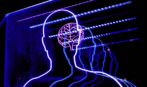 Lights of human head and brain