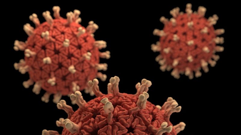 Viruses up close