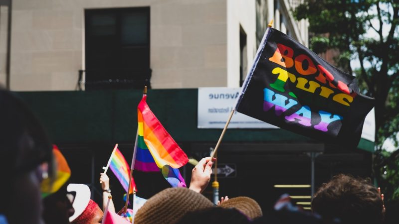 Pride protest/parade