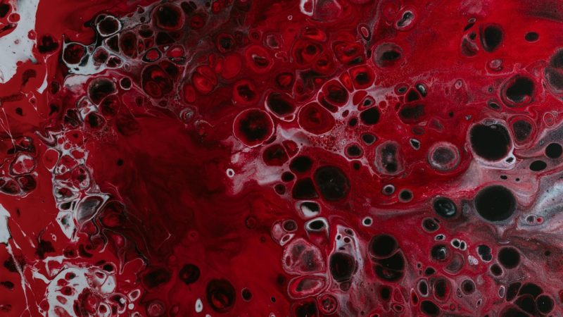 Blood under microscope