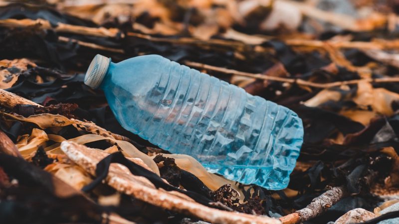 Plastic bottle