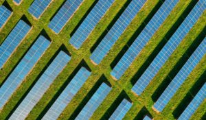 Solar farm from above