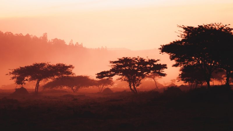 Sunrise in Rwanda