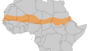 The Sahel region