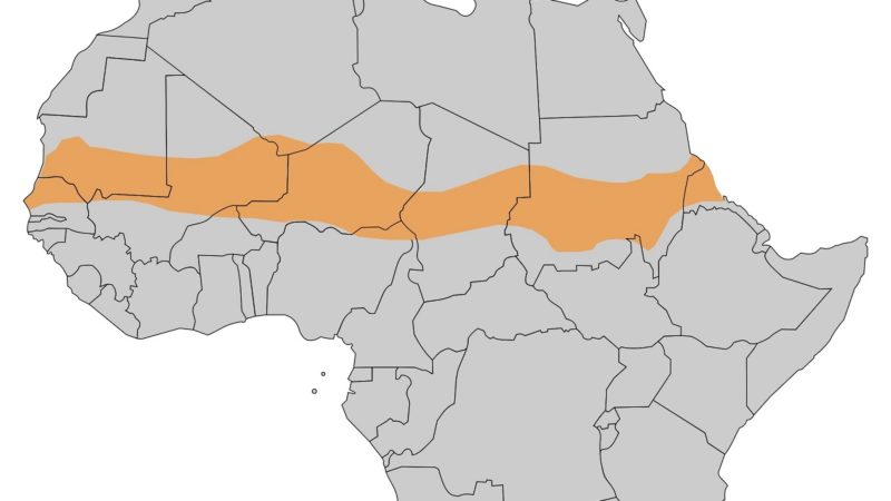 The Sahel region