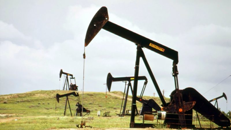 Oil wells in the field