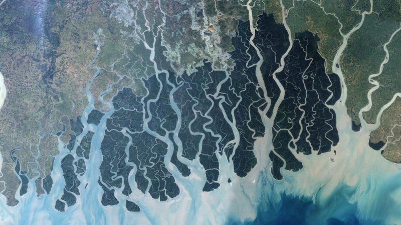 Sundarbans satellite view