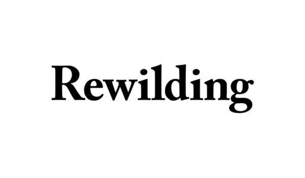 Rewilding Magazine Logo