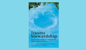 Trauma Stewardship cover