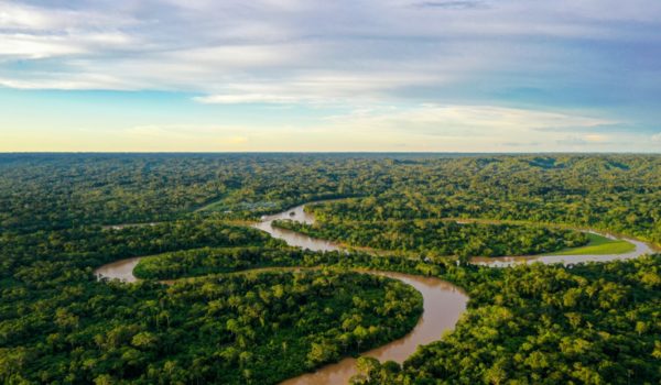 Aerial view of Amazon River and rainforest