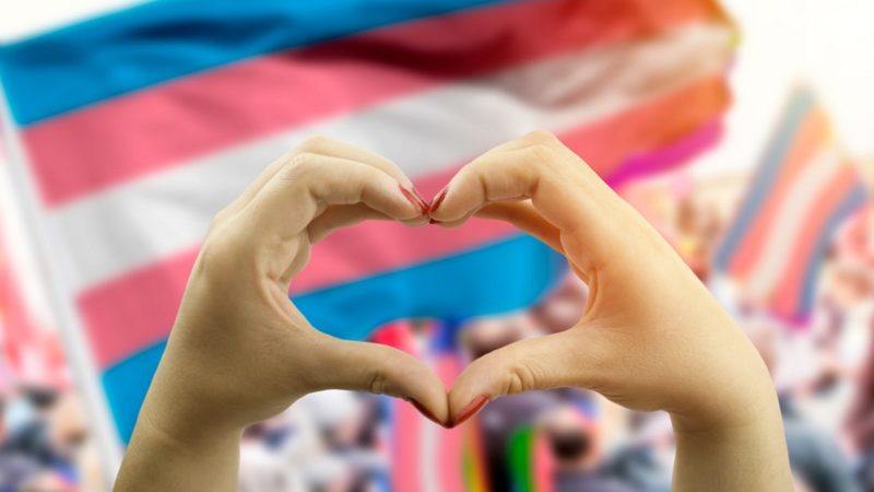 Hands making hear shape over transgender flag in background