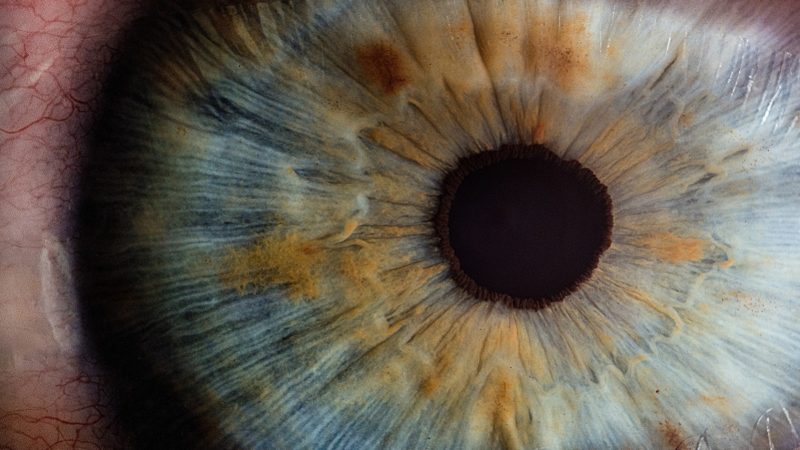 Human eye up close
