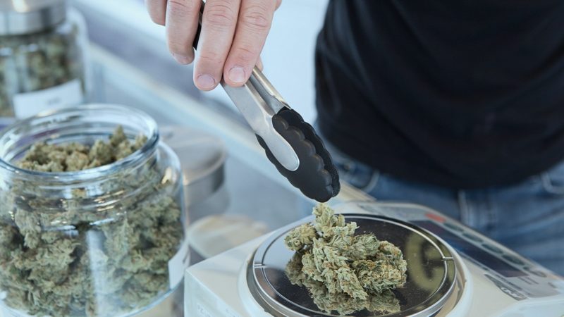 Weighing cannabis flower