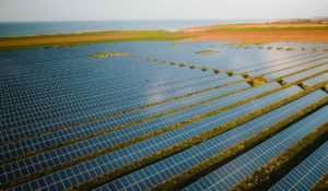 Solar farm on the coast