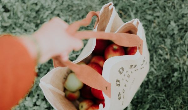 Canvas bag of apples