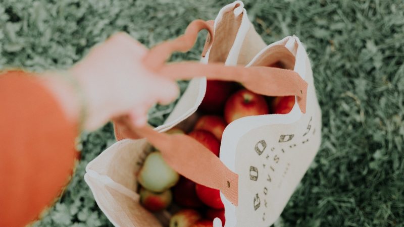 Canvas bag of apples