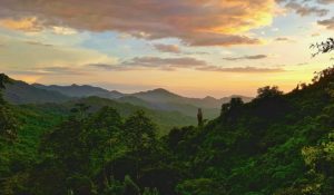 Colombia rainforest landscape
