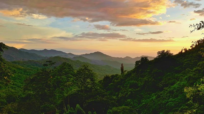 Colombia rainforest landscape