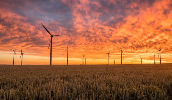 Wind turbines in field at sunset