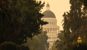California State Capitol amidst the trees