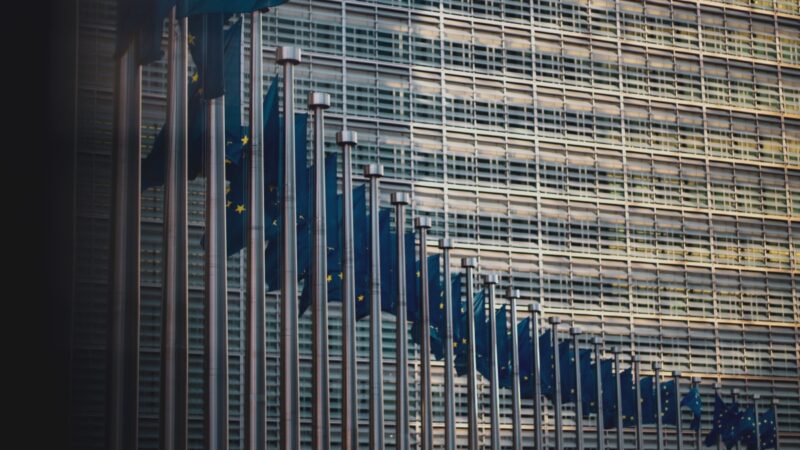 EU flags in a line