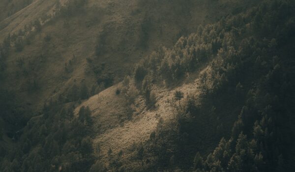Sumatran hillside