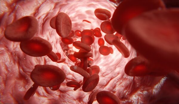 Depiction of blood cells
