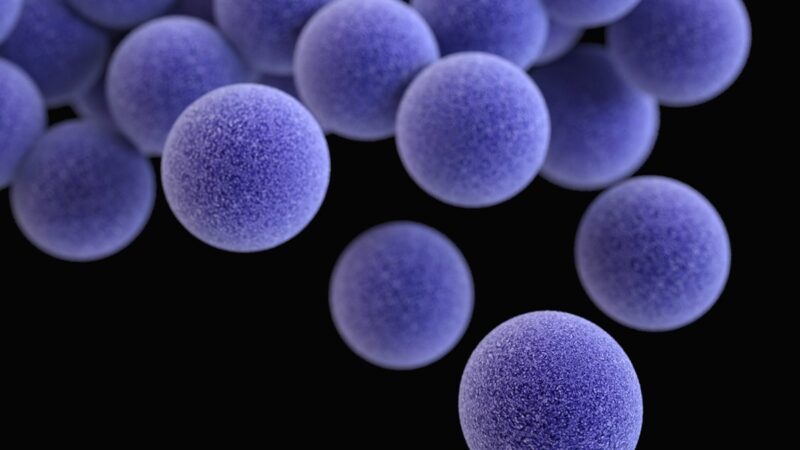 Depiction of MRSA bacteria up close