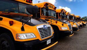 A row of school buses