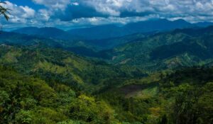 Dominican Republic forested landscape