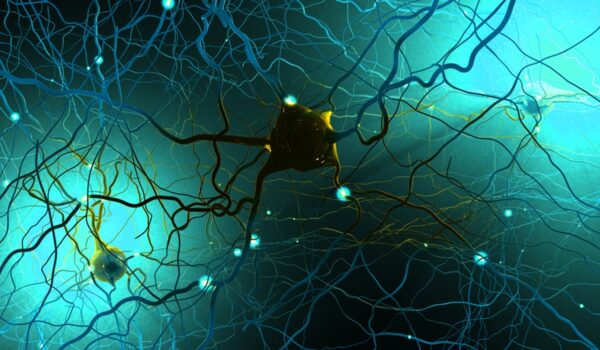 Depiction of nerve cells