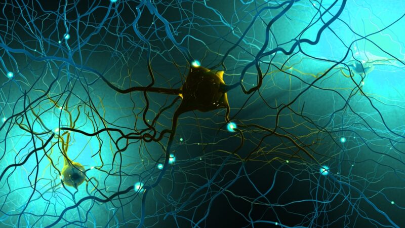 Depiction of nerve cells