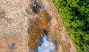 Birds eye view of tropical rainforest deforestation. An earth mover removes trees which are then burnt