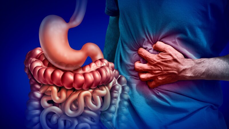 3d illustration of gut and stomach pain