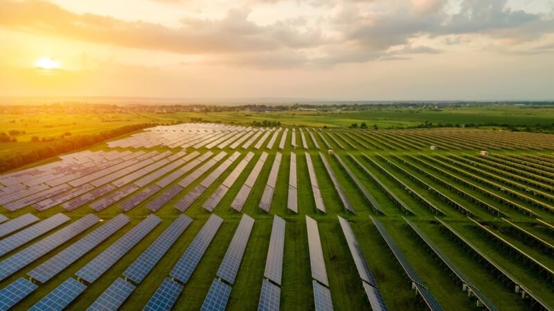 Aerial view of large electrical power plant with many rows of solar photovoltaic panels for producing clean ecological electric energy in morning