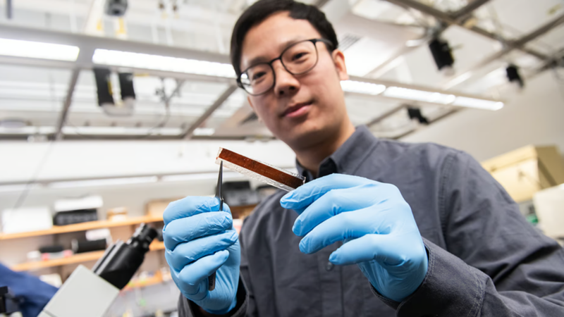 Scientist holding new ultrathin pacemaker
